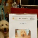 리온동물병원 이미지