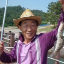 고흥우주주유소 | 고흥군 남양면 진지도의 하루