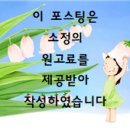 설맥 이미지