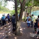 서비스랜드 이미지