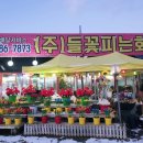 들꽃피는화원 이미지