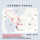 오드리인 | [W13] 제주 오드리테일러 드레스 피팅 &amp; 메이크업 솔직후기