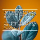 오르난 티스토리