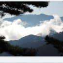 소백산자연휴양림 이미지