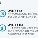 인시스