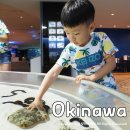 ㈜나라렌터카 우산영업소 | 오키나와 가볼만한곳 츄라우미부터 인기 관광지 저렴한 엔조이패스 하나면 끄읕!!