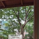 청솔모 쉼터 이미지