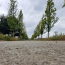 임진물새롬센터 오토캠핑장 이미지