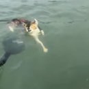 운동장길R 이미지