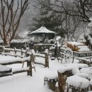 무장초등학교 이미지