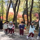 🍂만추 낙엽속으로~🍂 (월아산 청곡사) 이미지