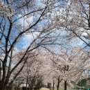 중2동-29 이미지