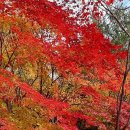 충숙근린공원