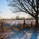 의료법인호산나의료재단현대요양병원 이미지
