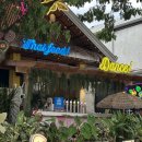 미세스&미스터 | 내돈내산 보홀맛집 헤난리조트 근처 Mr. &amp; Mrs. Thai 미스터미세스타이 후기