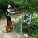 산골염소농장 이미지