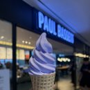 동관목장 | ‘폴 바셋’ 라벤더 아이스크림 가격, 후기 - 용산 아이파크몰, 히든 매장, 머스크멜론 아이스크림 후기