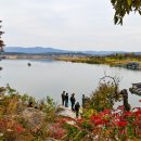 황포돗대 주변 이미지