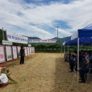 건초사료 이미지