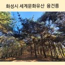 원적로481-1~원적로481번길 9 이전 | 화성 가볼만한 곳 정조의 효심이 깃든 곳 조선왕릉 숲길 산책하기 좋은 융건릉