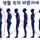 SNPE척추운동 이미지