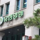 유한양행 이미지