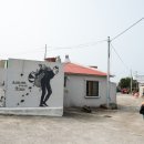 김녕돌담 이미지