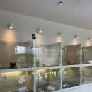 포더독스 강아지 강서 마곡점 이미지