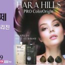하라힐즈 티스토리