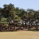 흥덕IC사거리(공원) 이미지