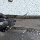 문원청계8길 58 | 과천인조대리석복원 | 주차 실수로 깨진 빌라 현관 원상복구 완료!