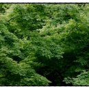 예나분식 이미지