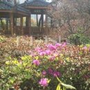 뉴드림공인중개사사무소 이미지