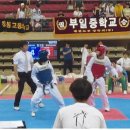 한국태권도 체육관 이미지