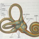 (주)안뜰 이미지