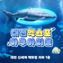 태평프라자상가 | [대전낮술여행] 대전 데이트코스 추천 &#39;동원칼국수&#39; 두부두루치기, 아이스크림떡볶이 그리고 대전...
