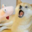 티라노곱창 이미지