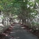 냉천골공원 이미지