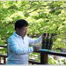 느티나무산장 이미지