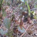 수촌농장 이미지