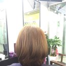 참빗결