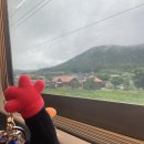 고기사라 | 다리 내놔 목포여행 1일차, 반깁스, 꽃게살무침 해빔, 쑥꿀레, 염통꼬치, 유달콩물, 생고기생차돌 등대식당