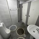 봉덕초등학교 이미지