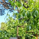 페트로 동물병원 이미지