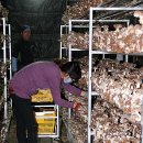 이상봉농장 이미지