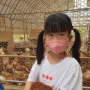 아빠사랑팜 이미지