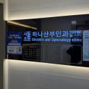 서초엘산부인과의원 | 임신 사전 건강관리 국가지원! 검사 후기 및 지원금 신청방법 with 서초하나산부인과