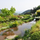 비밀의 정원 이미지