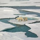 세종에코 이미지