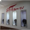 디하트 이미지